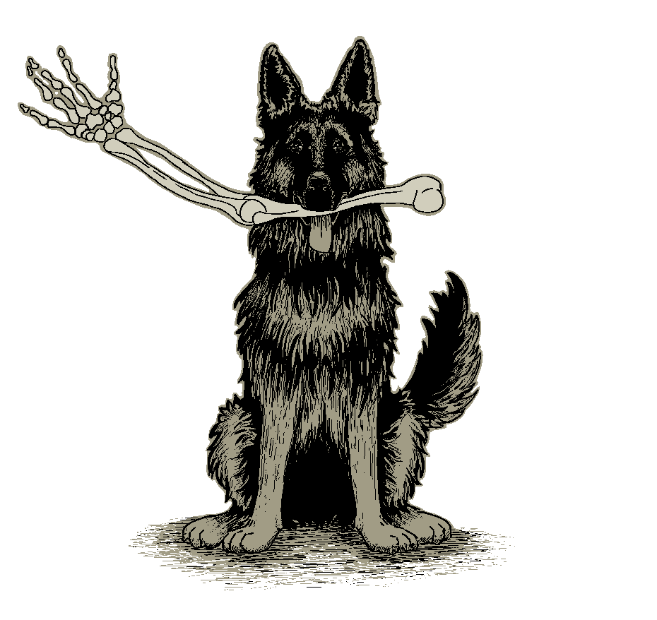 Koira ja vilkuttava luukäsi