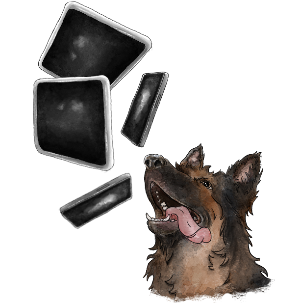 Koira ja leijuvia mobiililaitteita